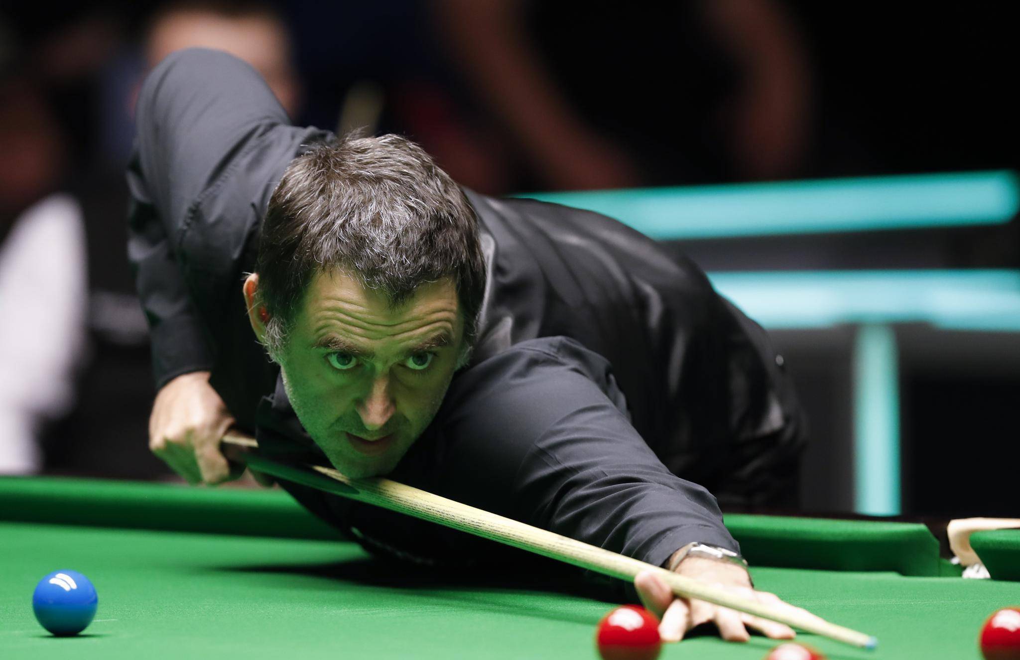 需要我帮你 需要我帮你