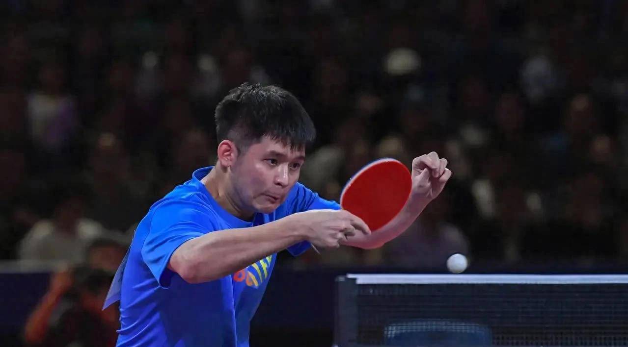 样提供了展 样提供了展